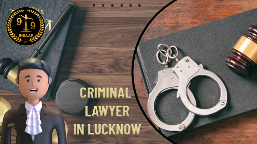 Criminal Lawyer