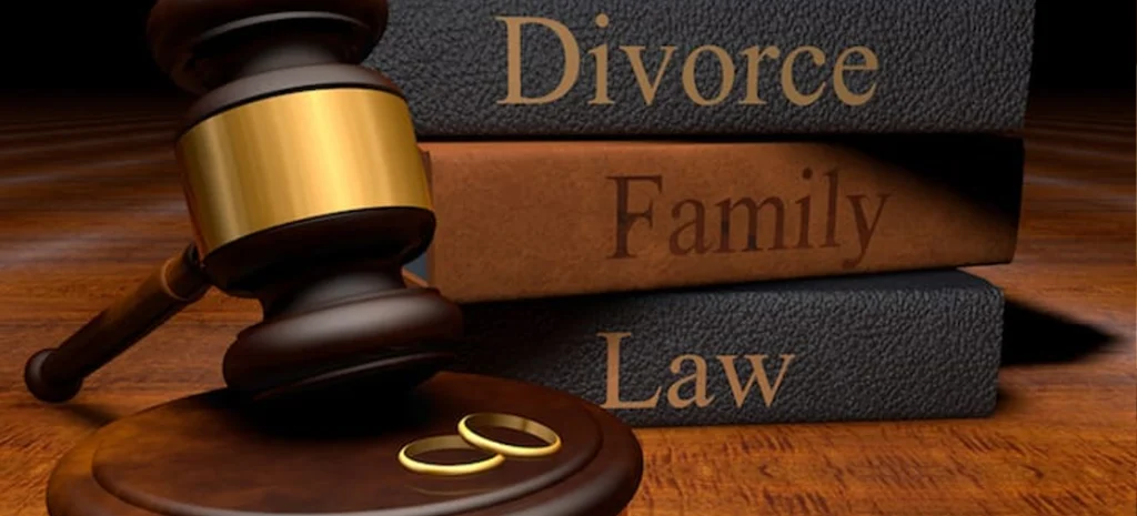 Divorce Lawyer in Raipur