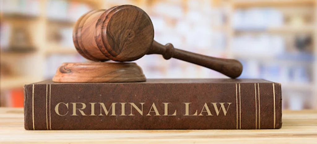 Criminal Lawyer in Nashik